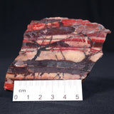 Banded Iron Formation from Marble Bar Polished ZMB002