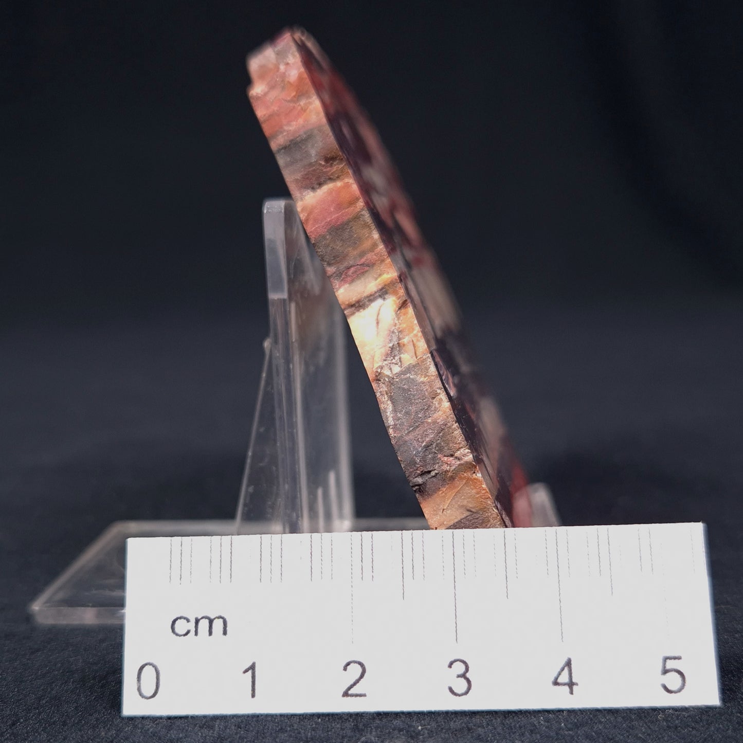 Banded Iron Formation from Marble Bar Polished ZMB002