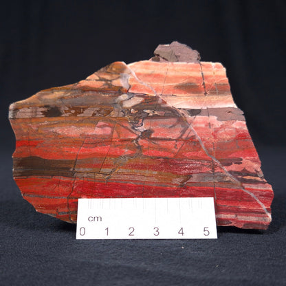 Banded Iron Formation from Marble Bar Polished ZMB003