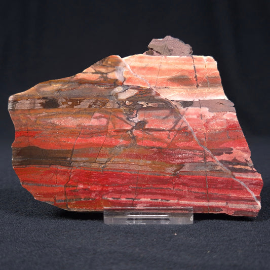 Banded Iron Formation from Marble Bar Polished ZMB003