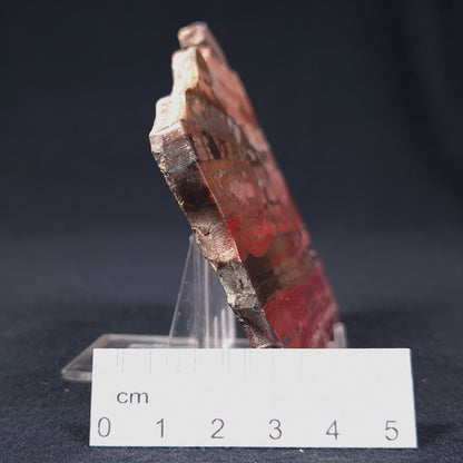 Banded Iron Formation from Marble Bar Polished ZMB003