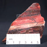 Banded Iron Formation from Marble Bar Polished ZMB004