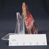 Banded Iron Formation from Marble Bar Polished ZMB004