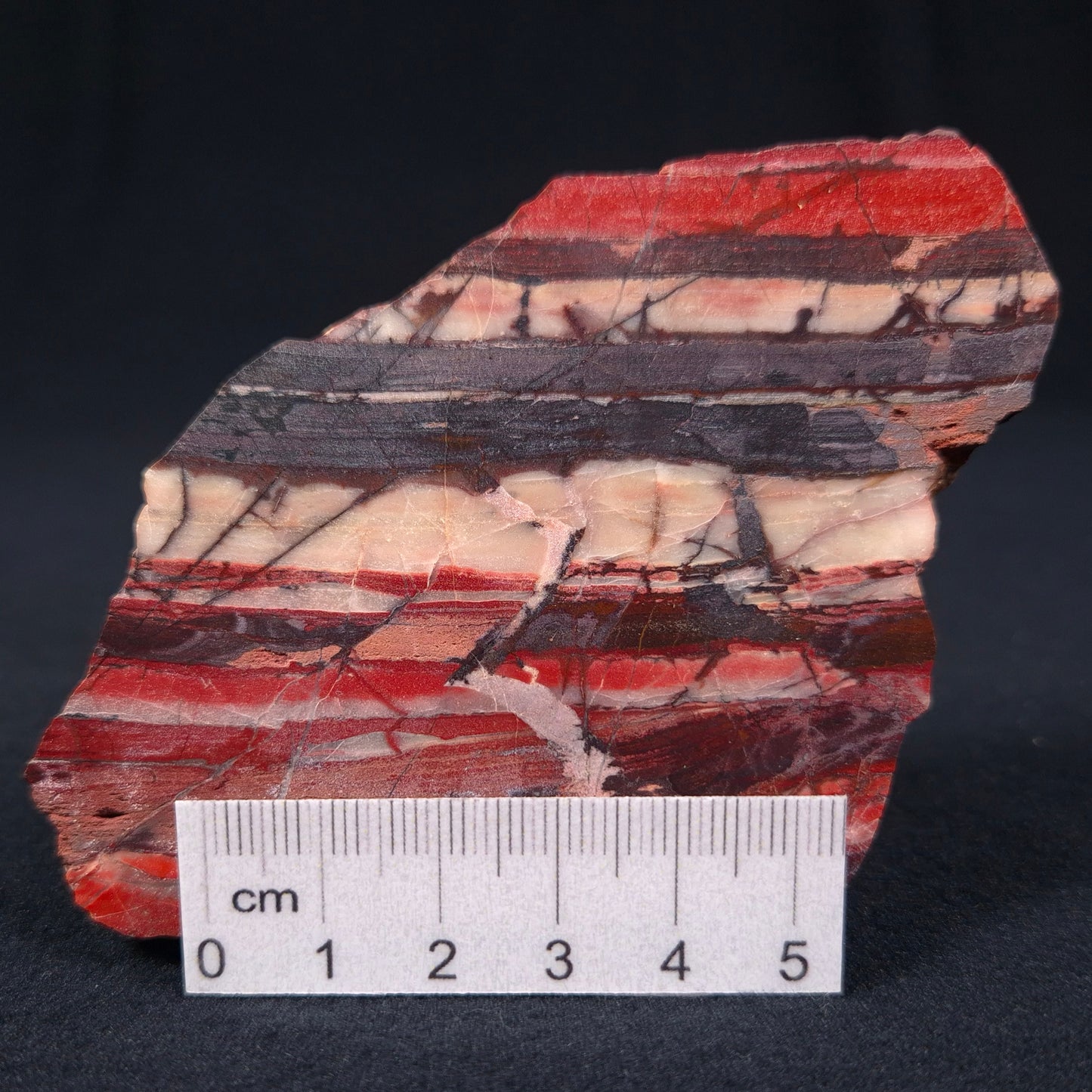 Banded Iron Formation from Marble Bar Polished ZMB005