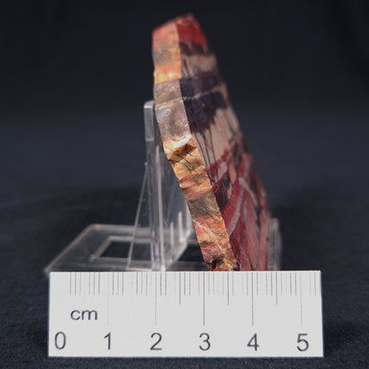 Banded Iron Formation from Marble Bar Polished ZMB005