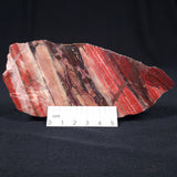 Banded Iron Formation from Marble Bar Polished ZMB006