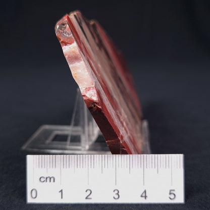 Banded Iron Formation from Marble Bar Polished ZMB006