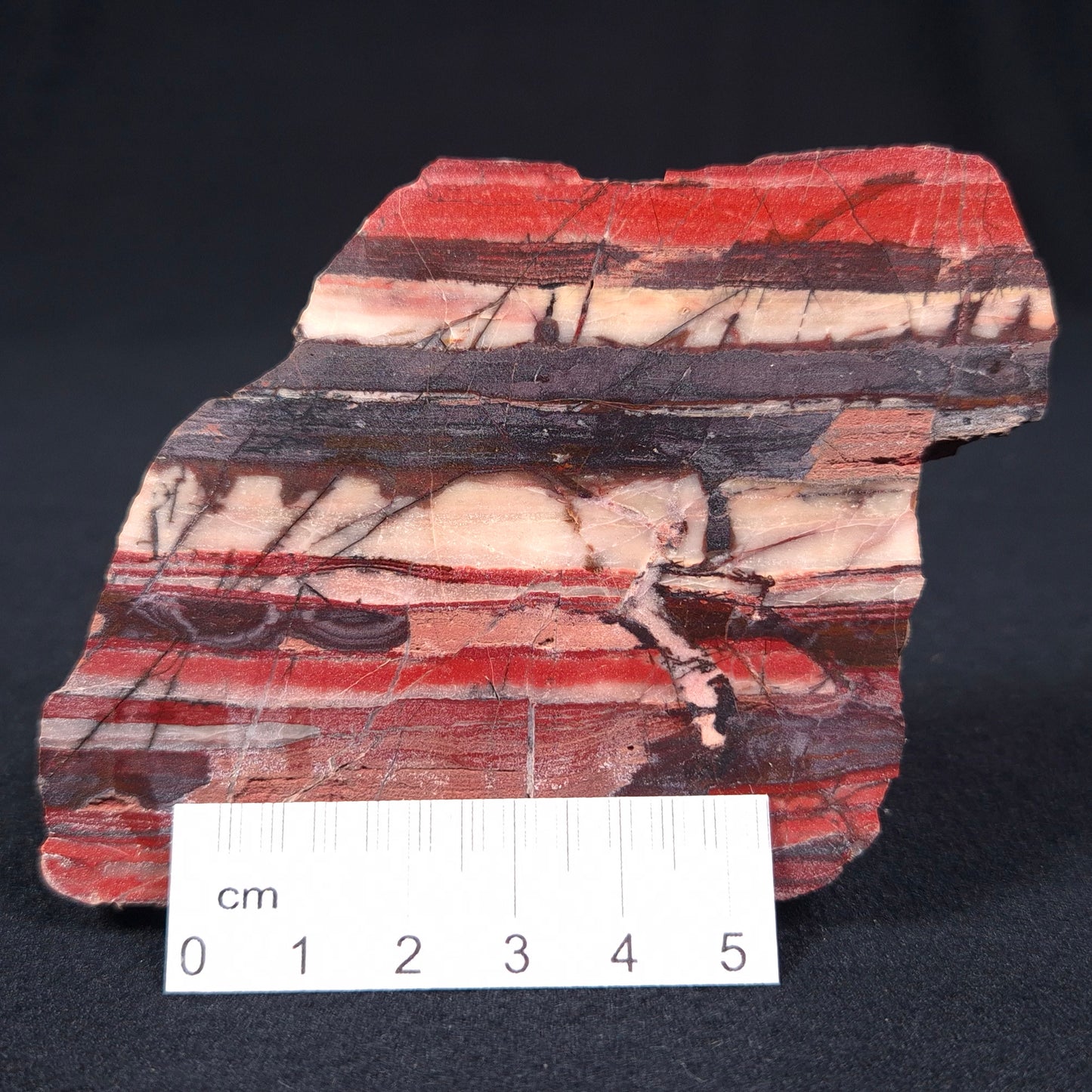 Banded Iron Formation from Marble Bar Polished ZMB007