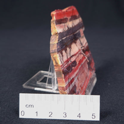 Banded Iron Formation from Marble Bar Polished ZMB007