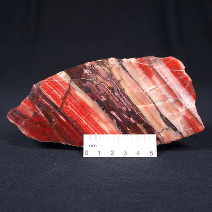 Banded Iron Formation from Marble Bar Polished ZMB008