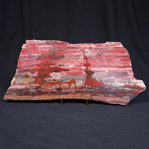 Banded Iron Formation from Marble Bar Polished ZMB011