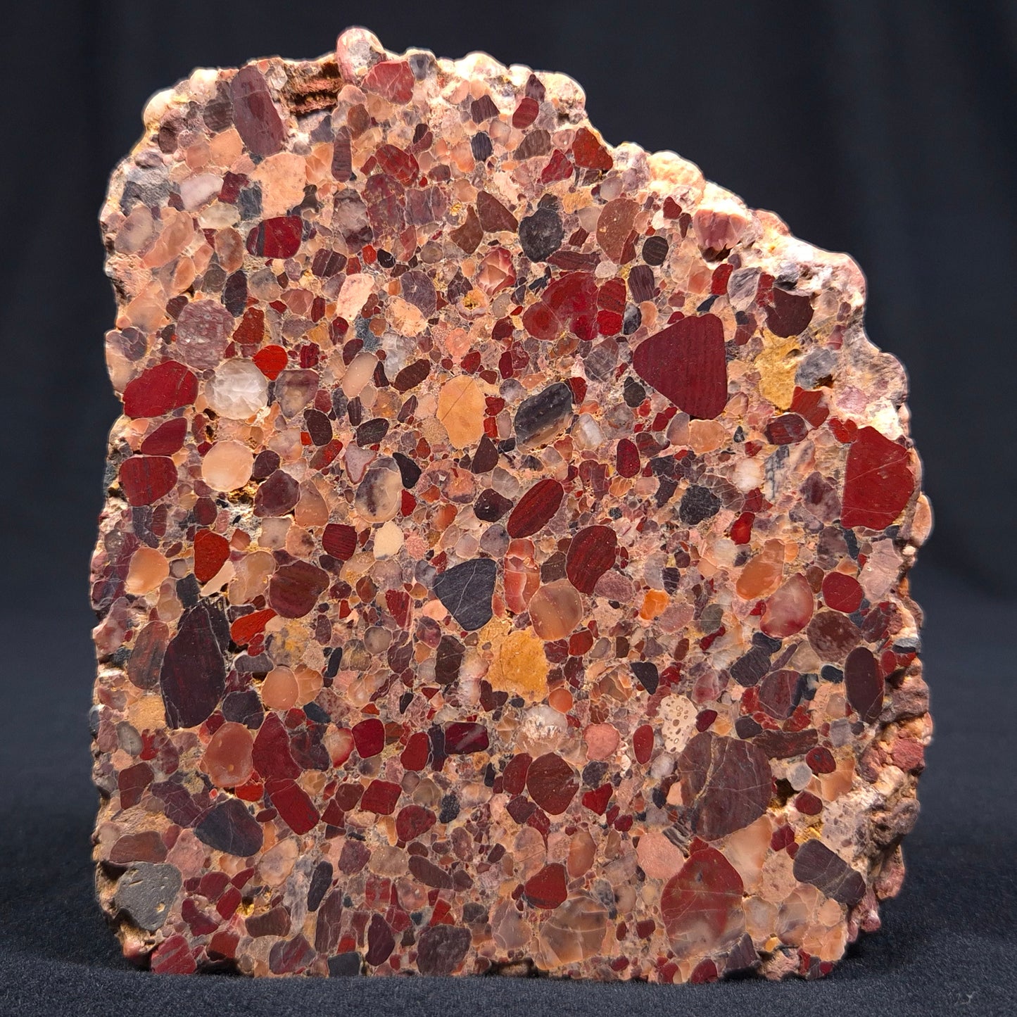 Conglomerate Polished YSC015