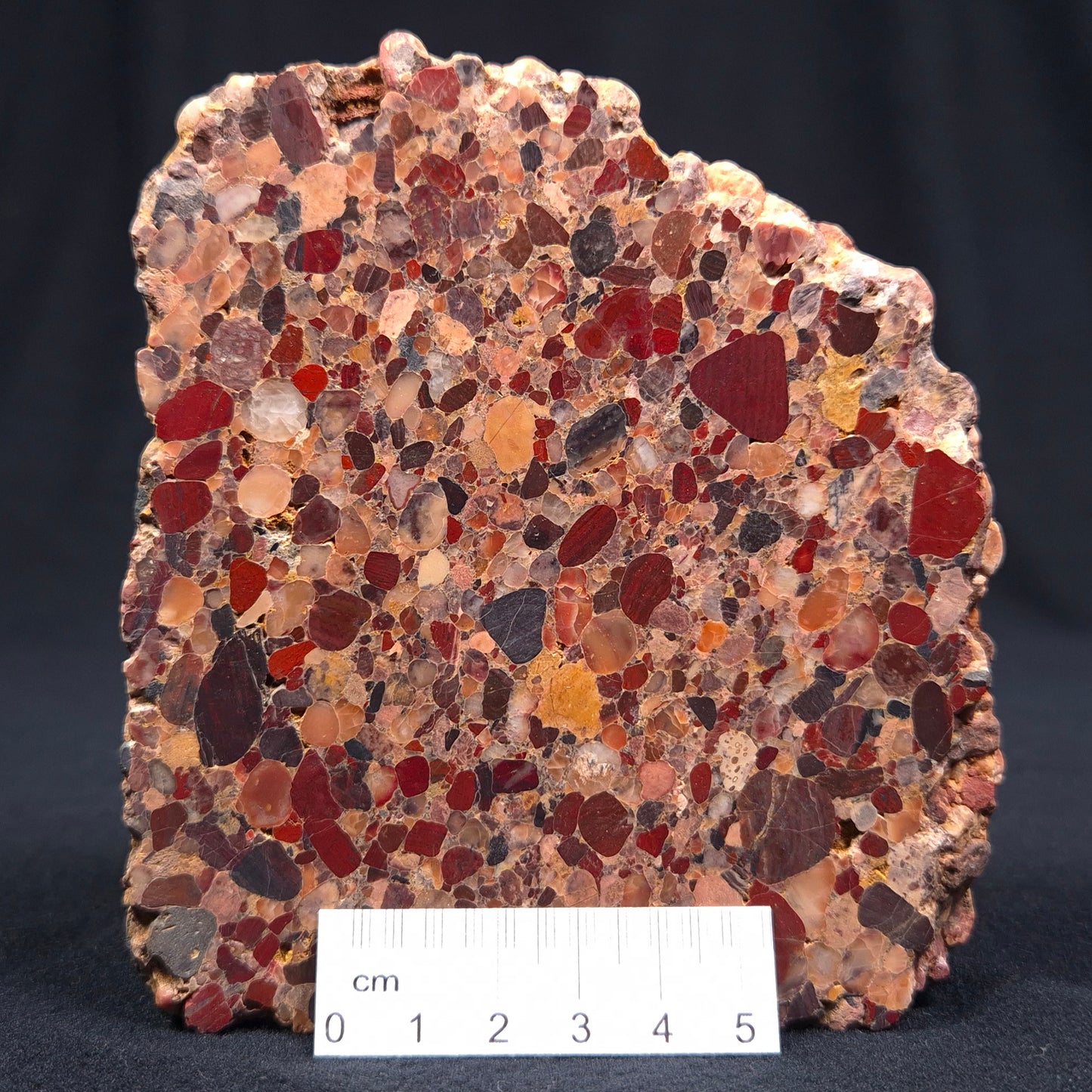 Conglomerate Polished YSC015