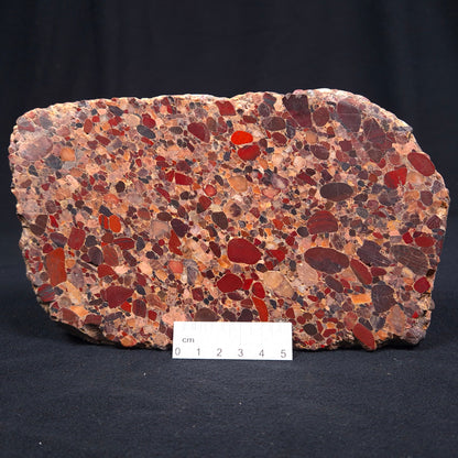 Conglomerate Polished YSC017