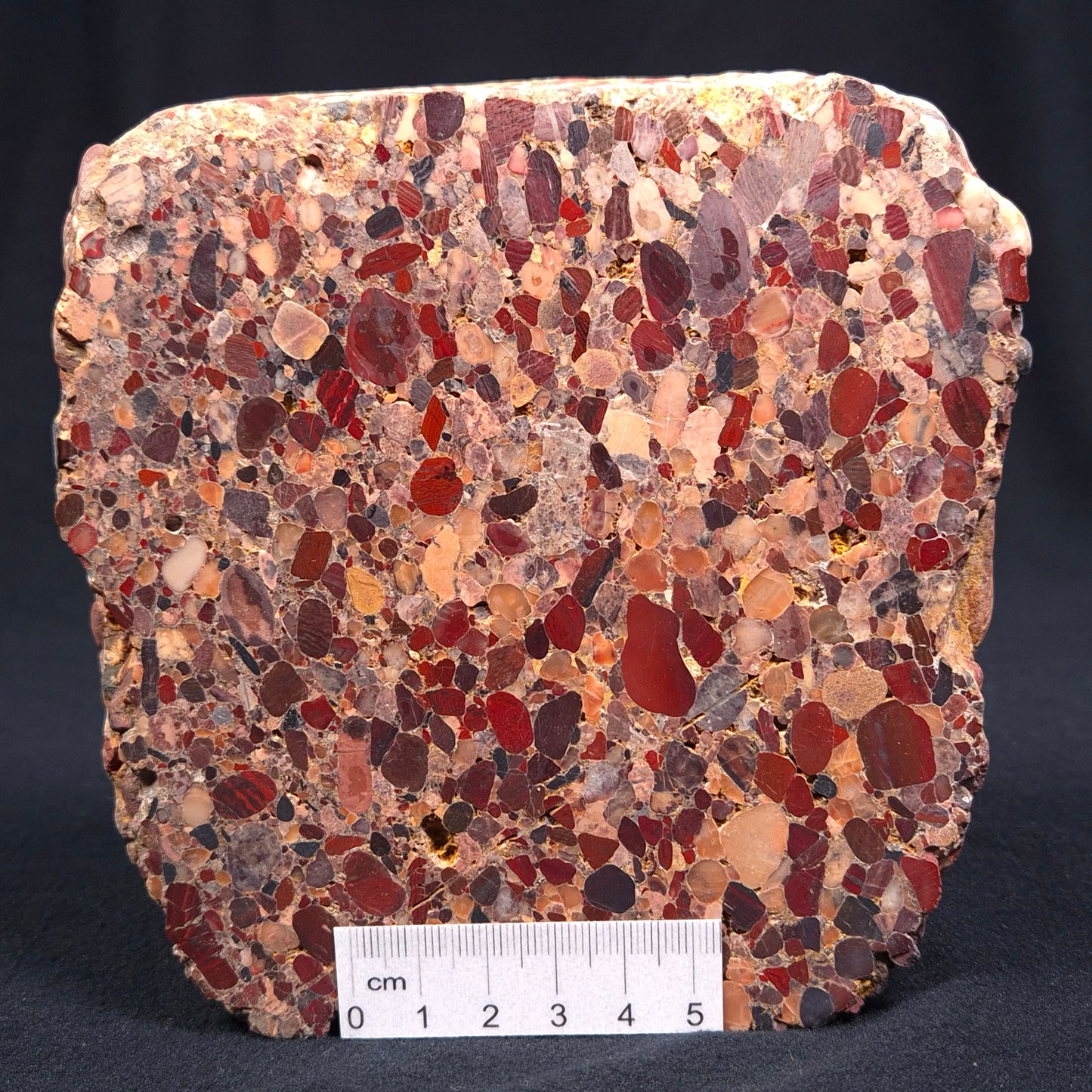 Conglomerate Polished YSC018