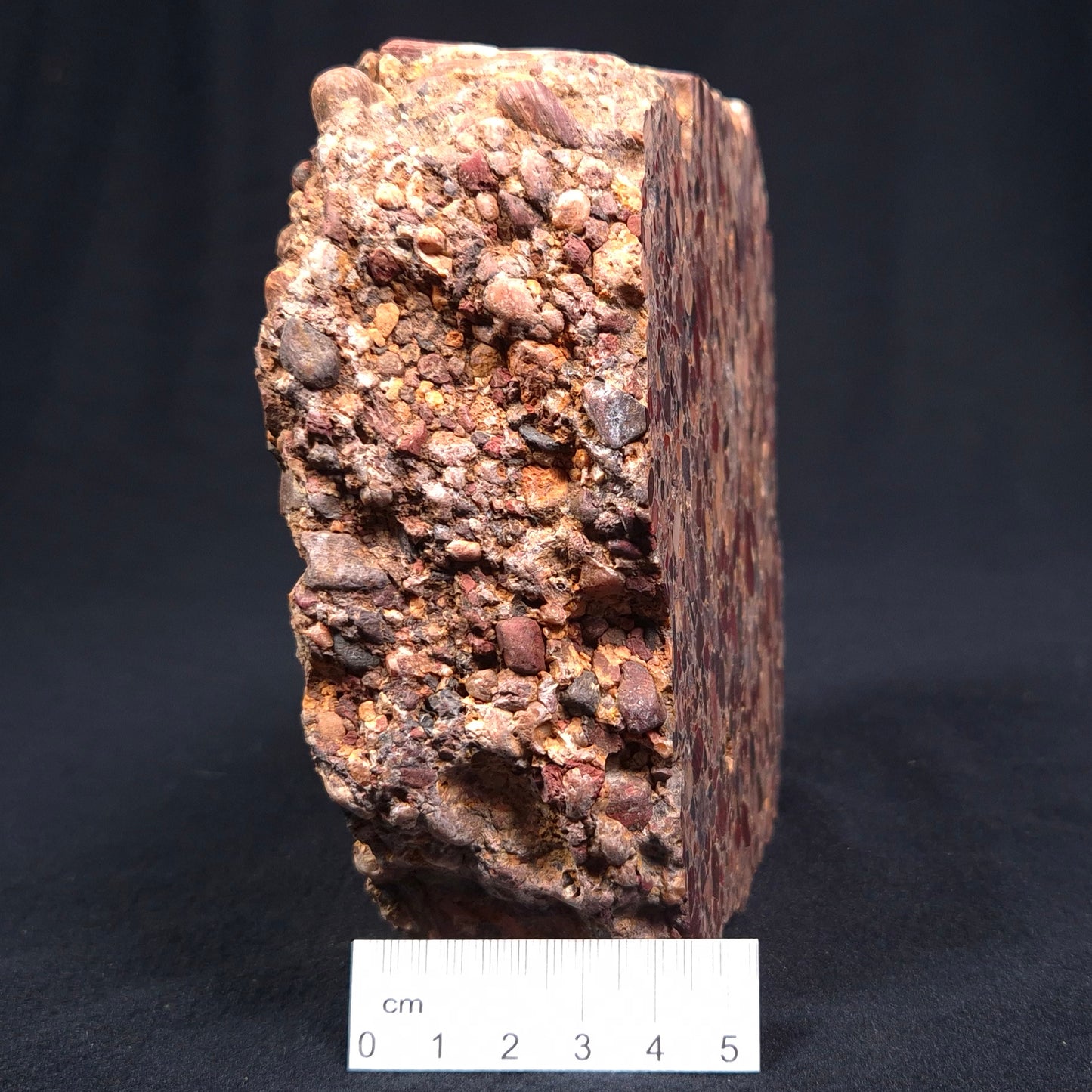 Conglomerate Polished YSC018