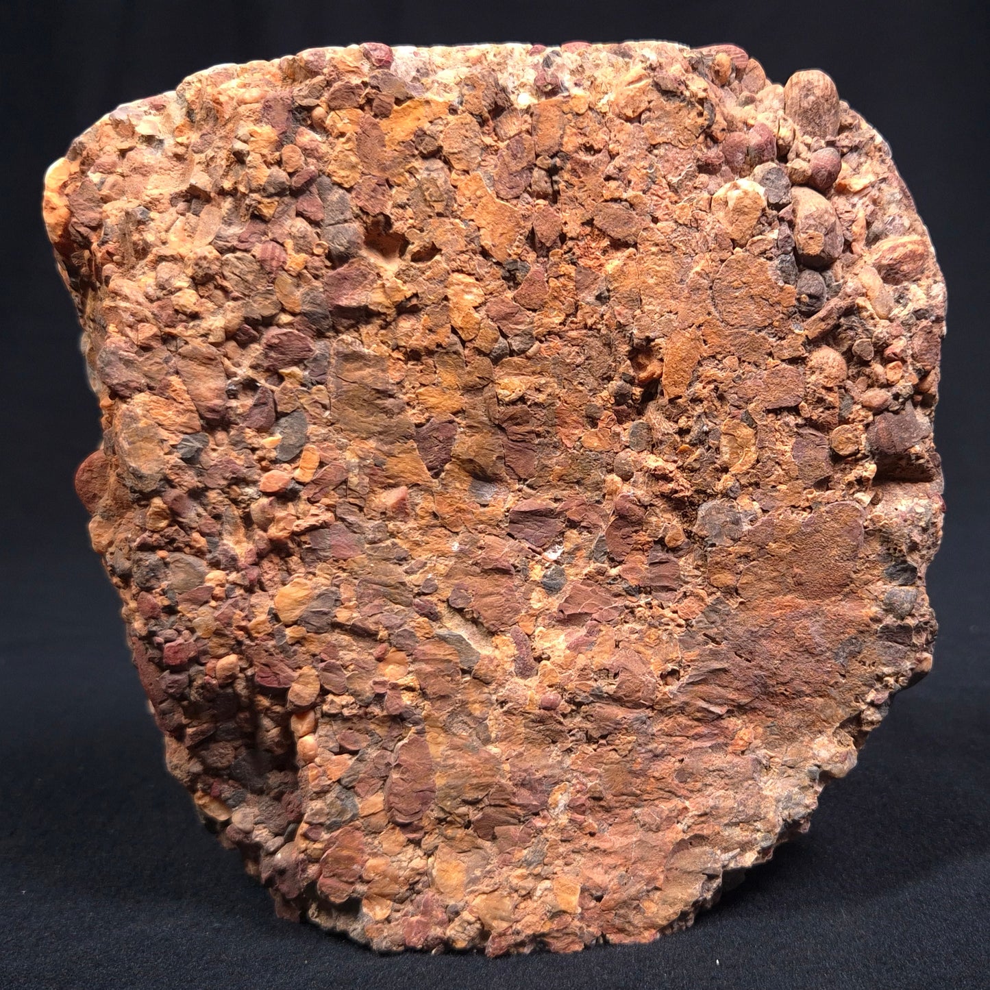 Conglomerate Polished YSC018