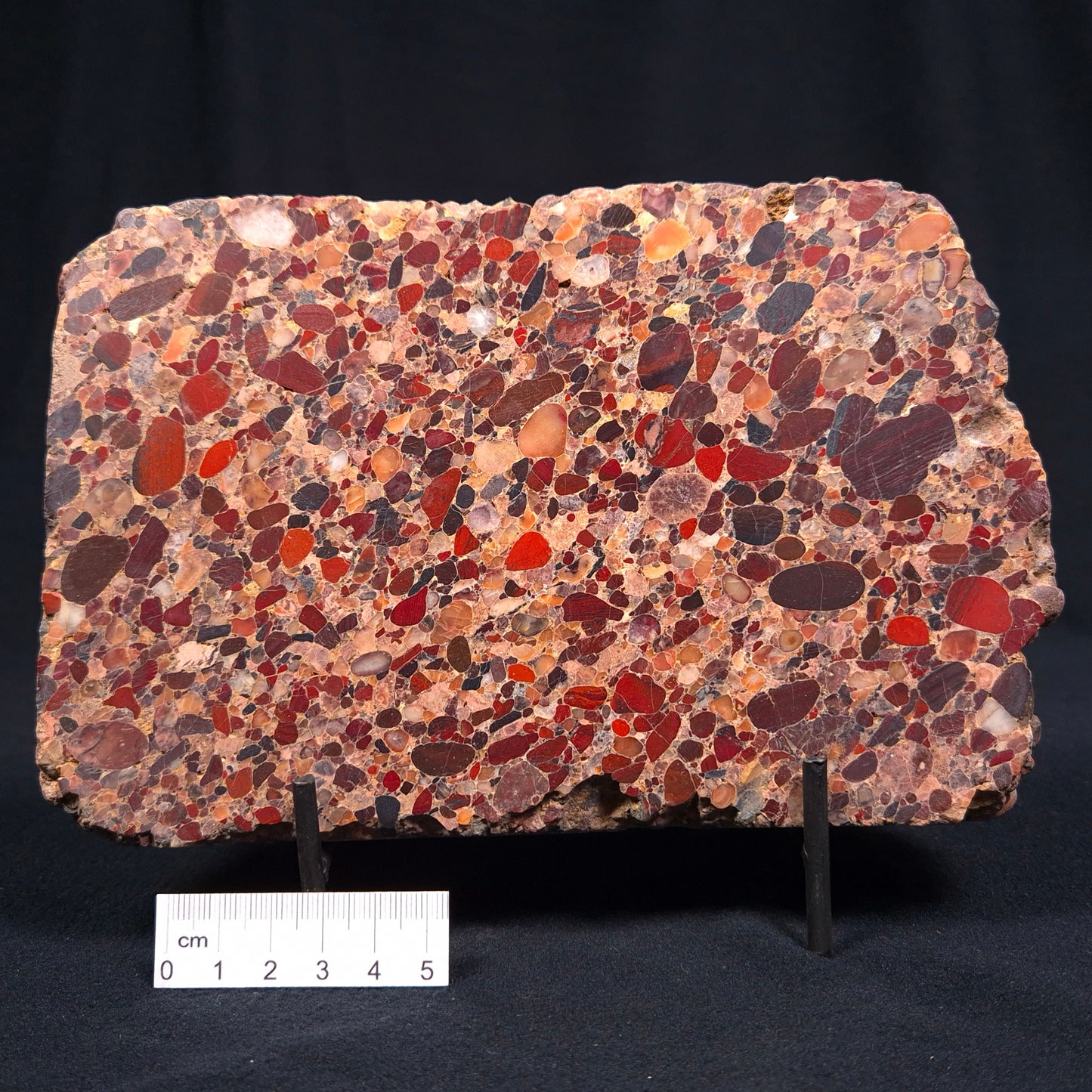 Conglomerate Polished YSC019