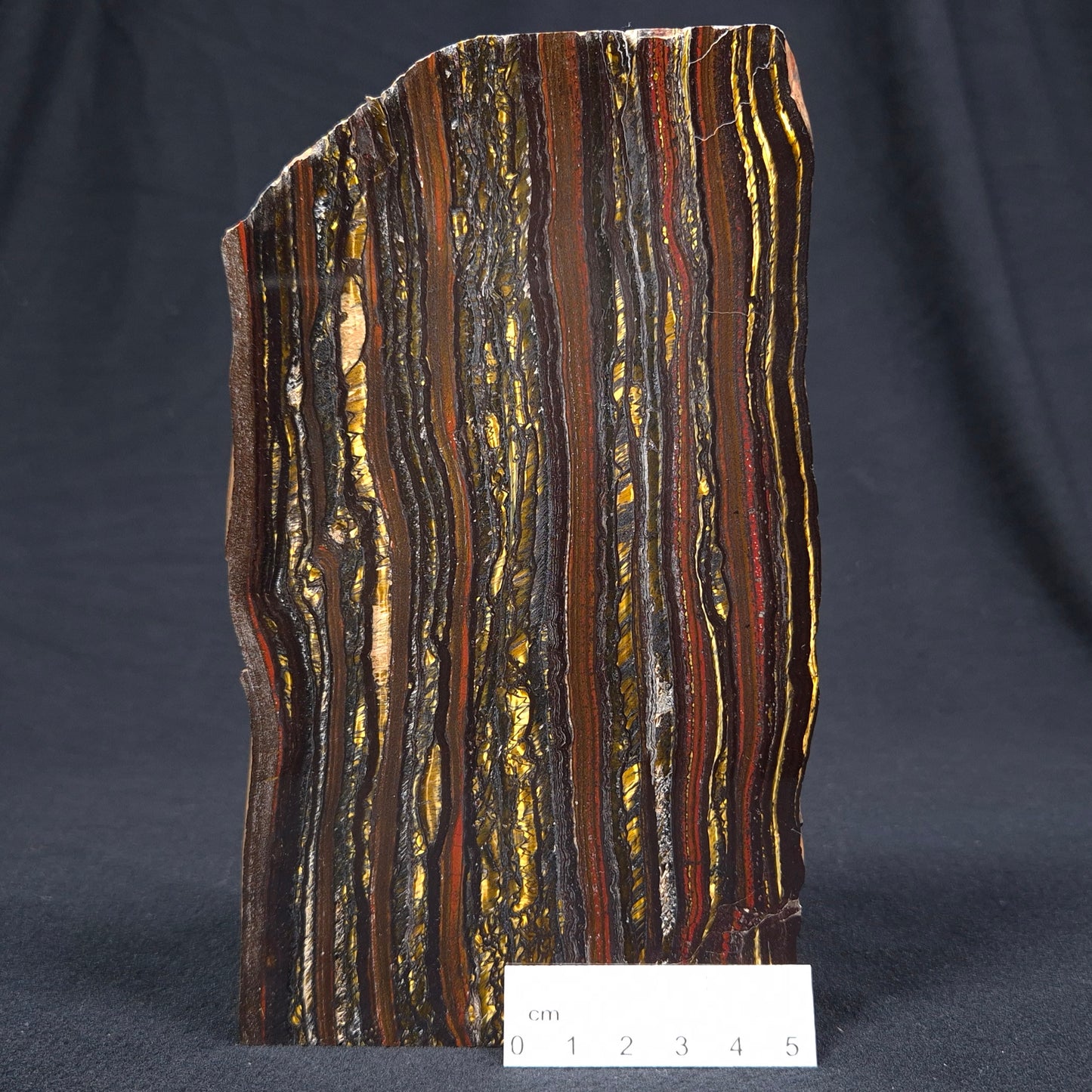 Banded Tiger Iron Polished ZBI031