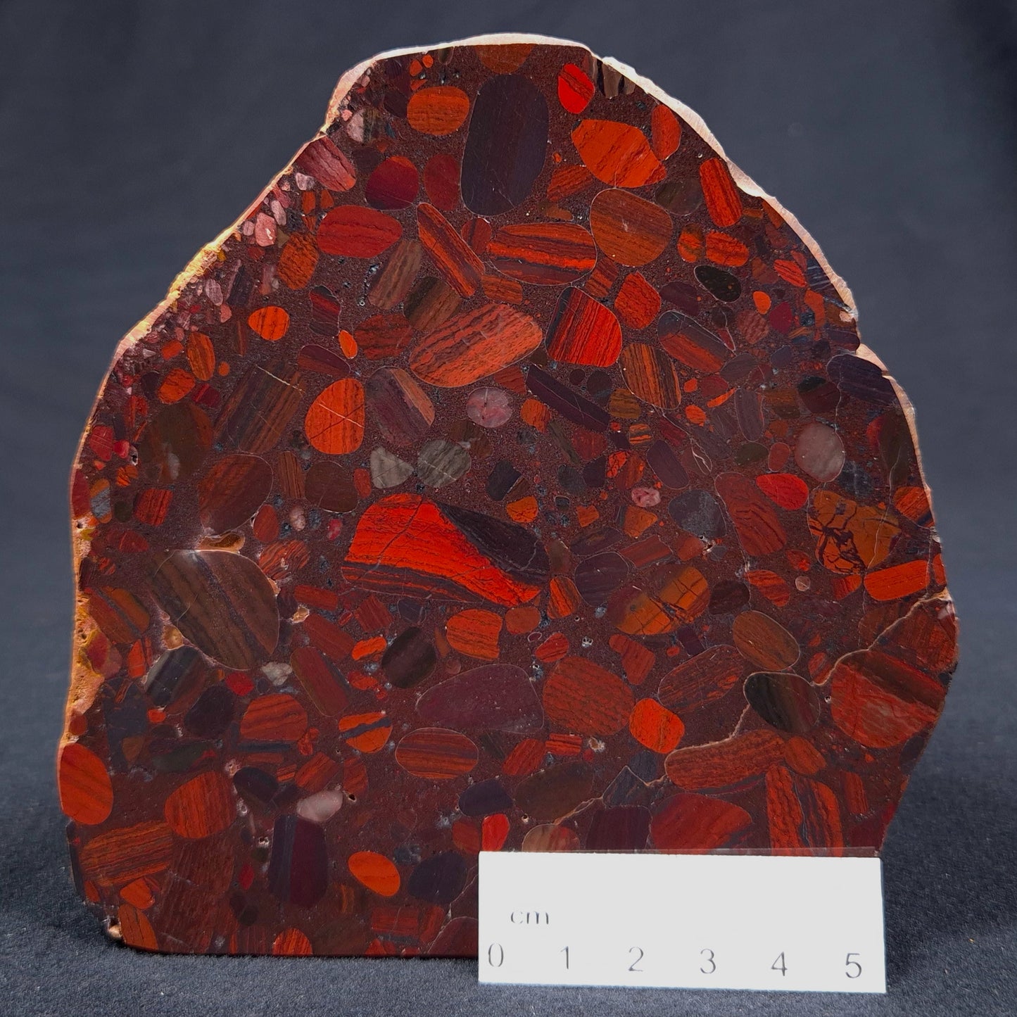 Conglomerate Hematite and Jasper Polished ZCG001