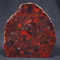 Conglomerate Hematite and Jasper Polished ZCG001