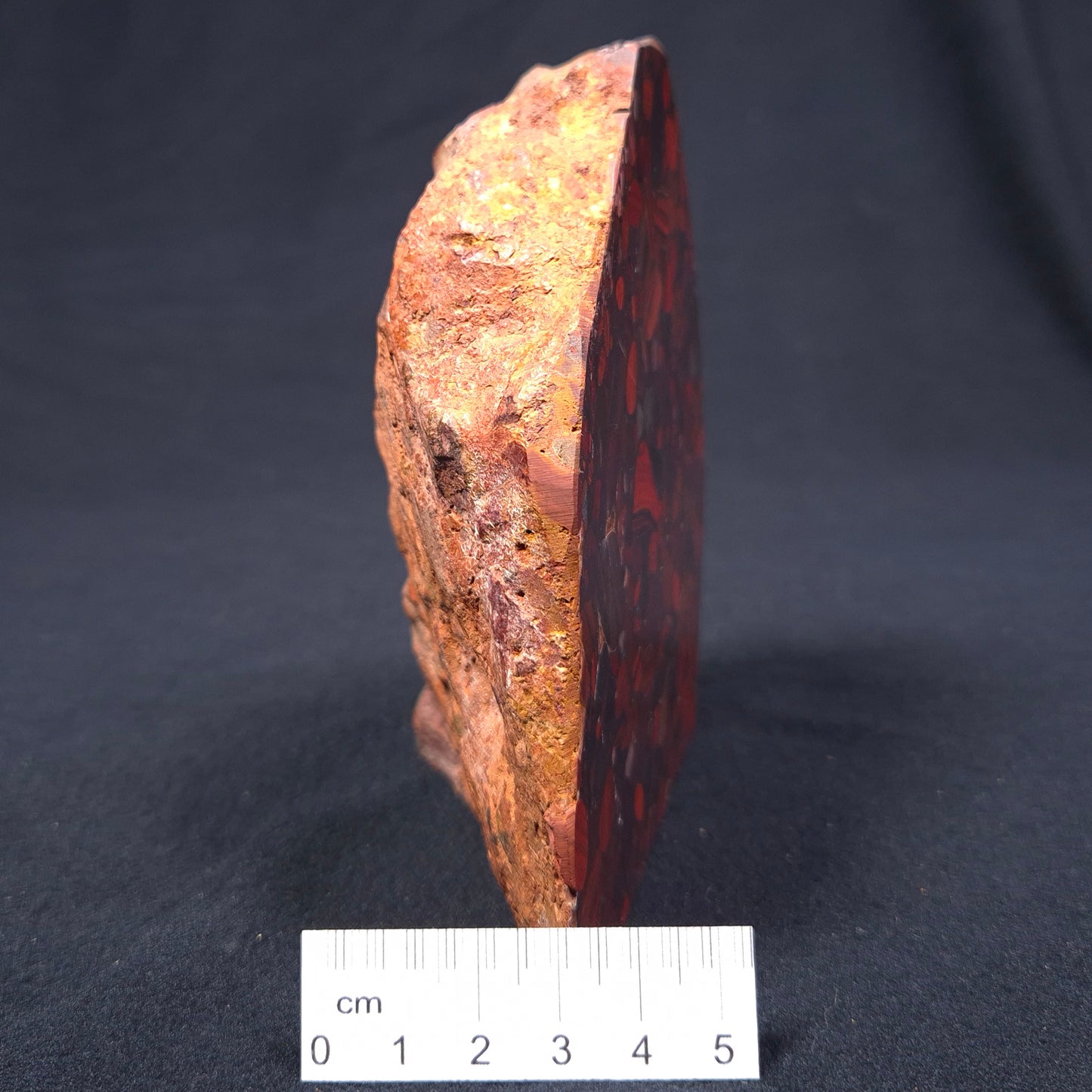 Conglomerate Hematite and Jasper Polished ZCG001