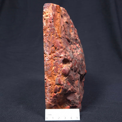 Conglomerate Hematite and Jasper Polished ZCG003