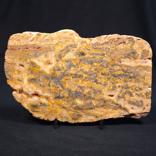 Crazy Lace Agate Polished YSC020