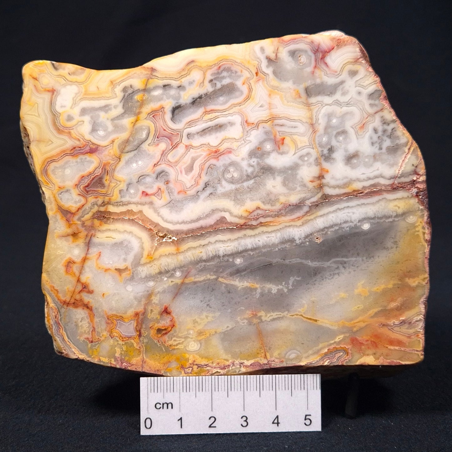 Crazy Lace Agate Polished YSC021