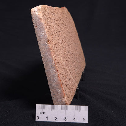 Graphic Feldspar with Smoky Quartz Polished YSC032