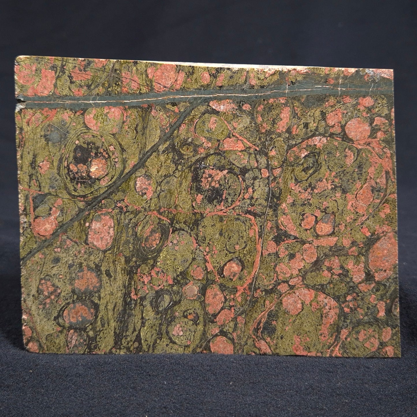 Rhyolite (Rainforest Jasper) Polished YSC033