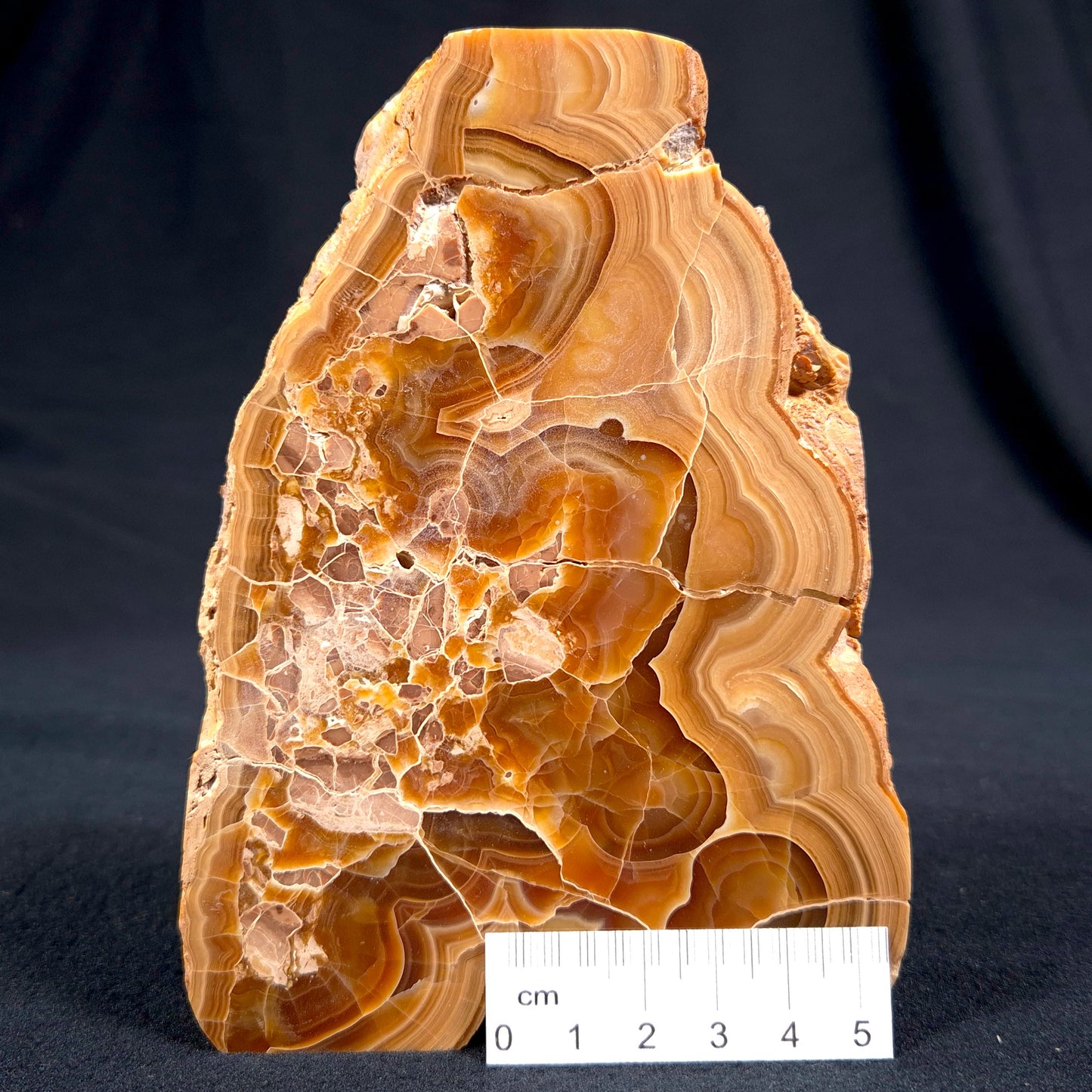 Travertine (Banded Calcite) Polished YSC036