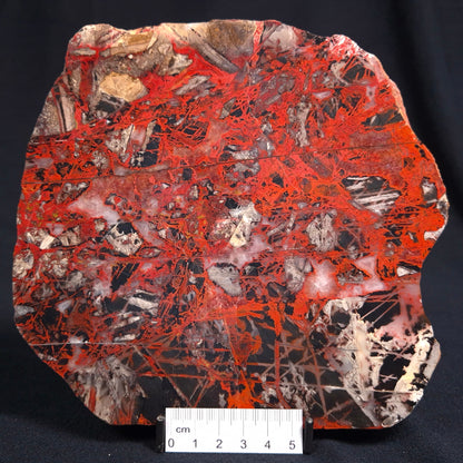 Pilbara Picasso Jasper Polished YSC039