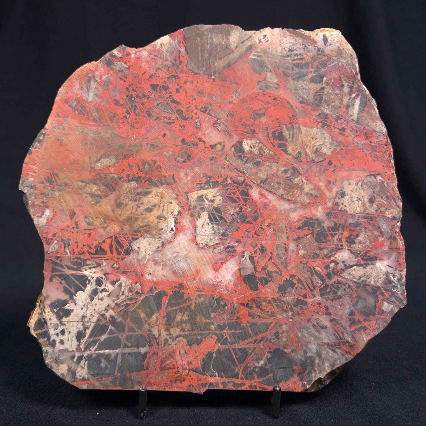 Pilbara Picasso Jasper Polished YSC039