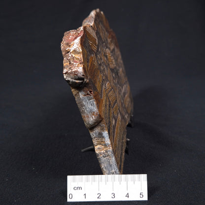 Breccia Polished YSC043