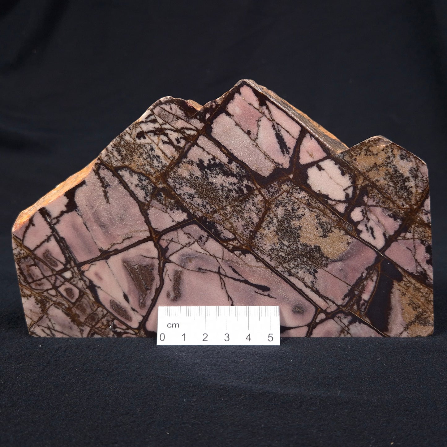 Outback Jasper Polished YSC045