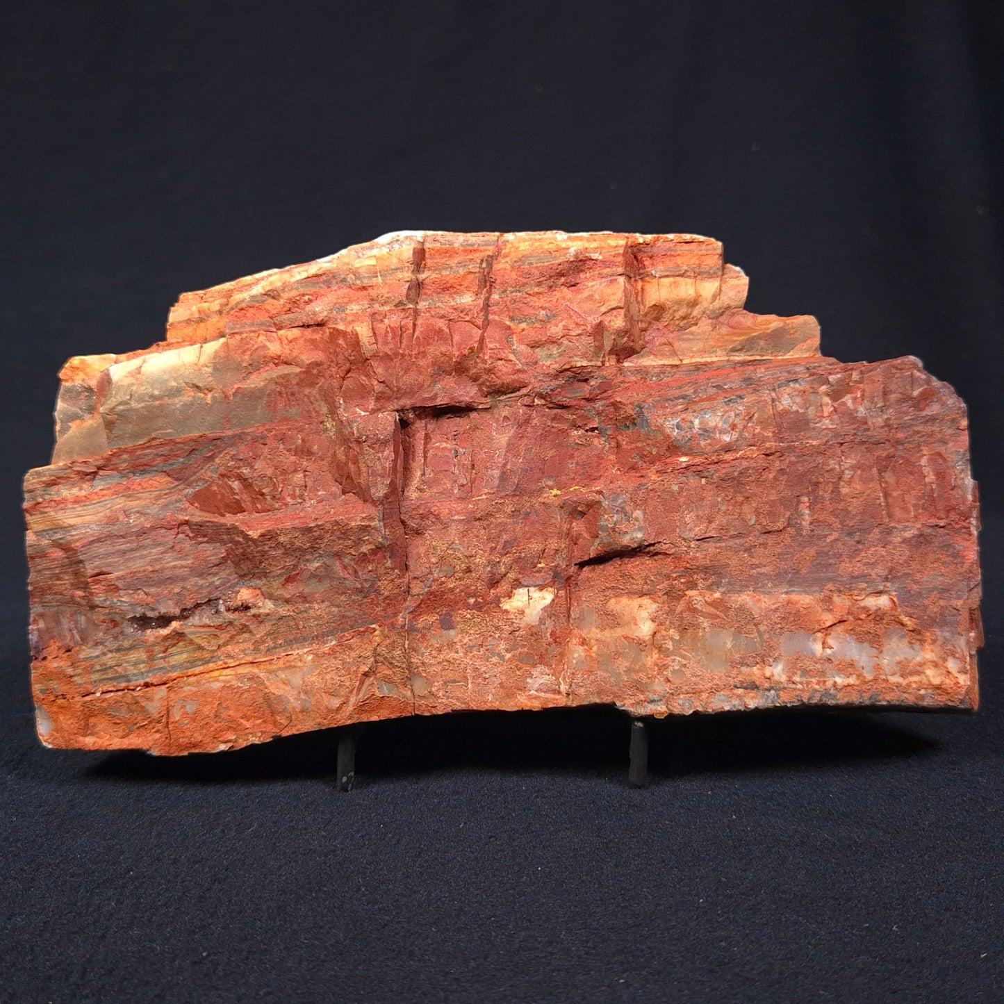 Stromatolite from the Jerrinah Formation ZJF001