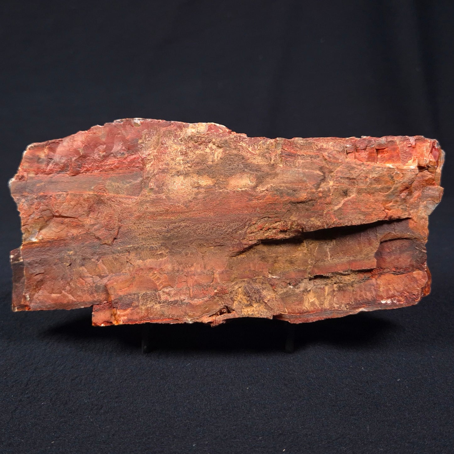 Stromatolite from the Jerrinah Formation ZJF002