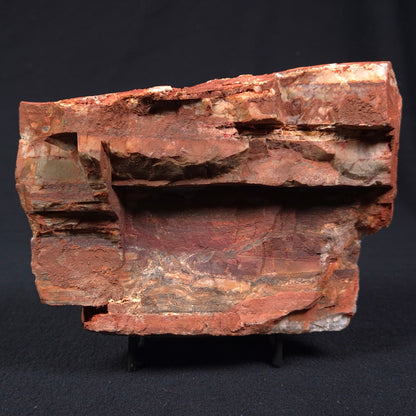 Stromatolite from the Jerrinah Formation ZJF003