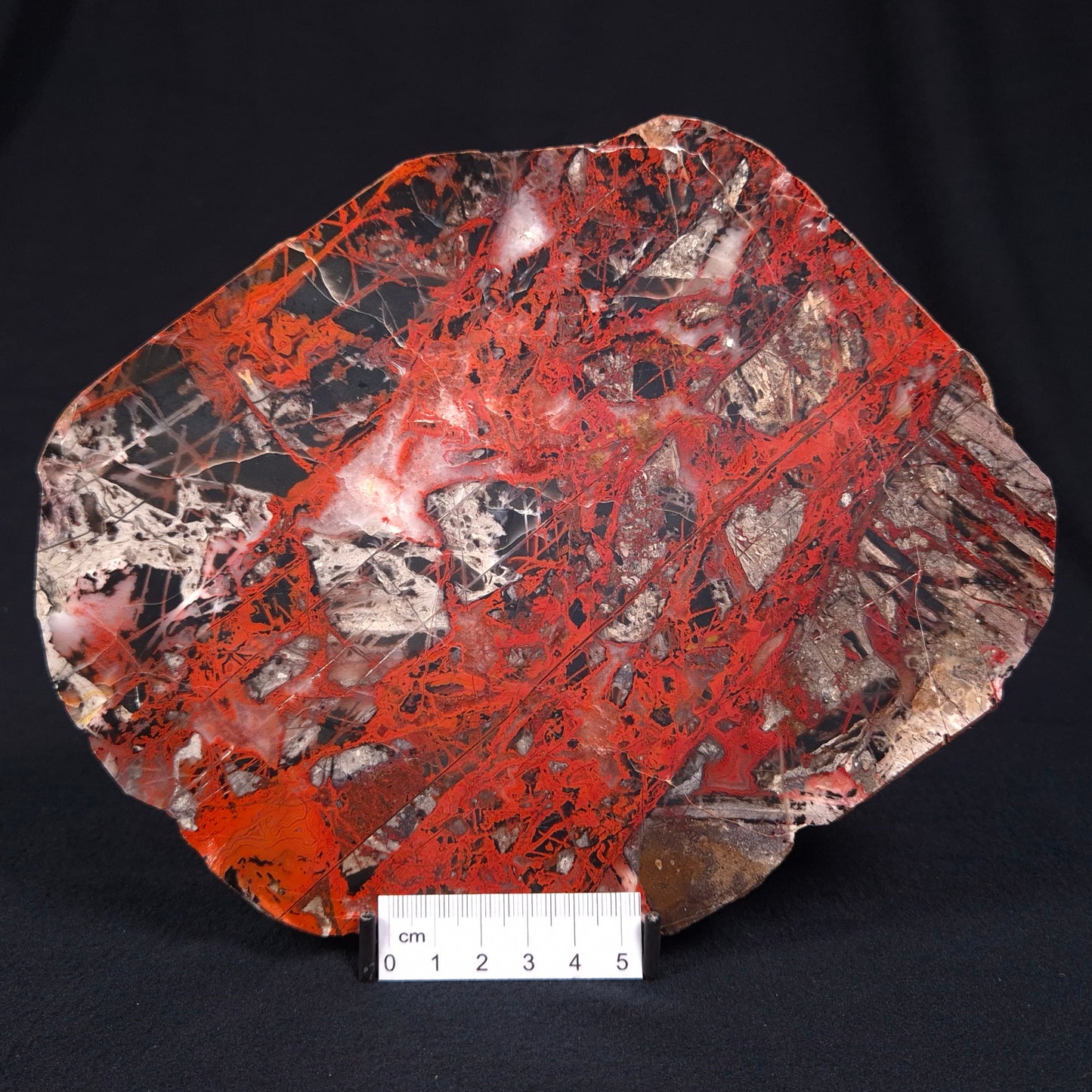 Pilbara Picasso Jasper Polished YSC049