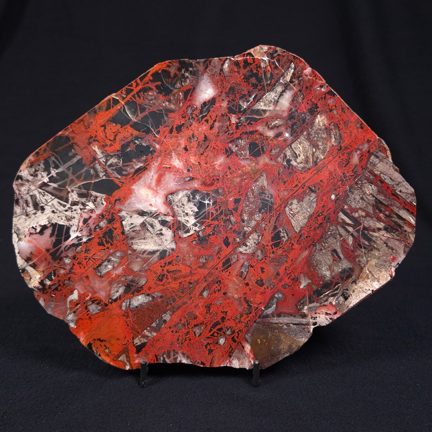 Pilbara Picasso Jasper Polished YSC049