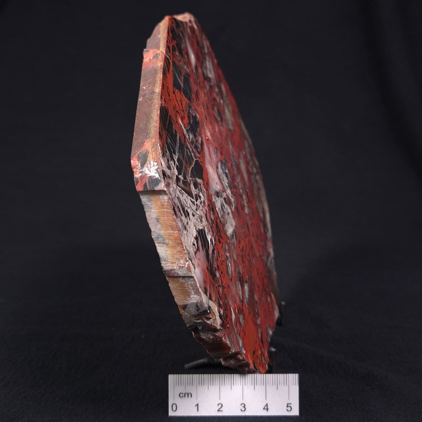 Pilbara Picasso Jasper Polished YSC049