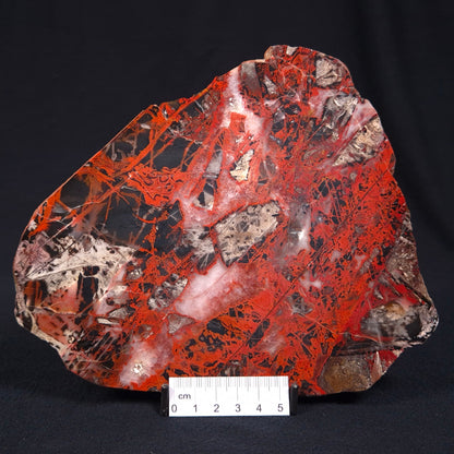 Pilbara Picasso Jasper Polished YSC050