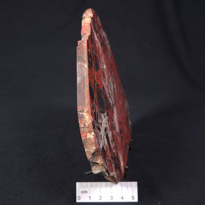 Pilbara Picasso Jasper Polished YSC050