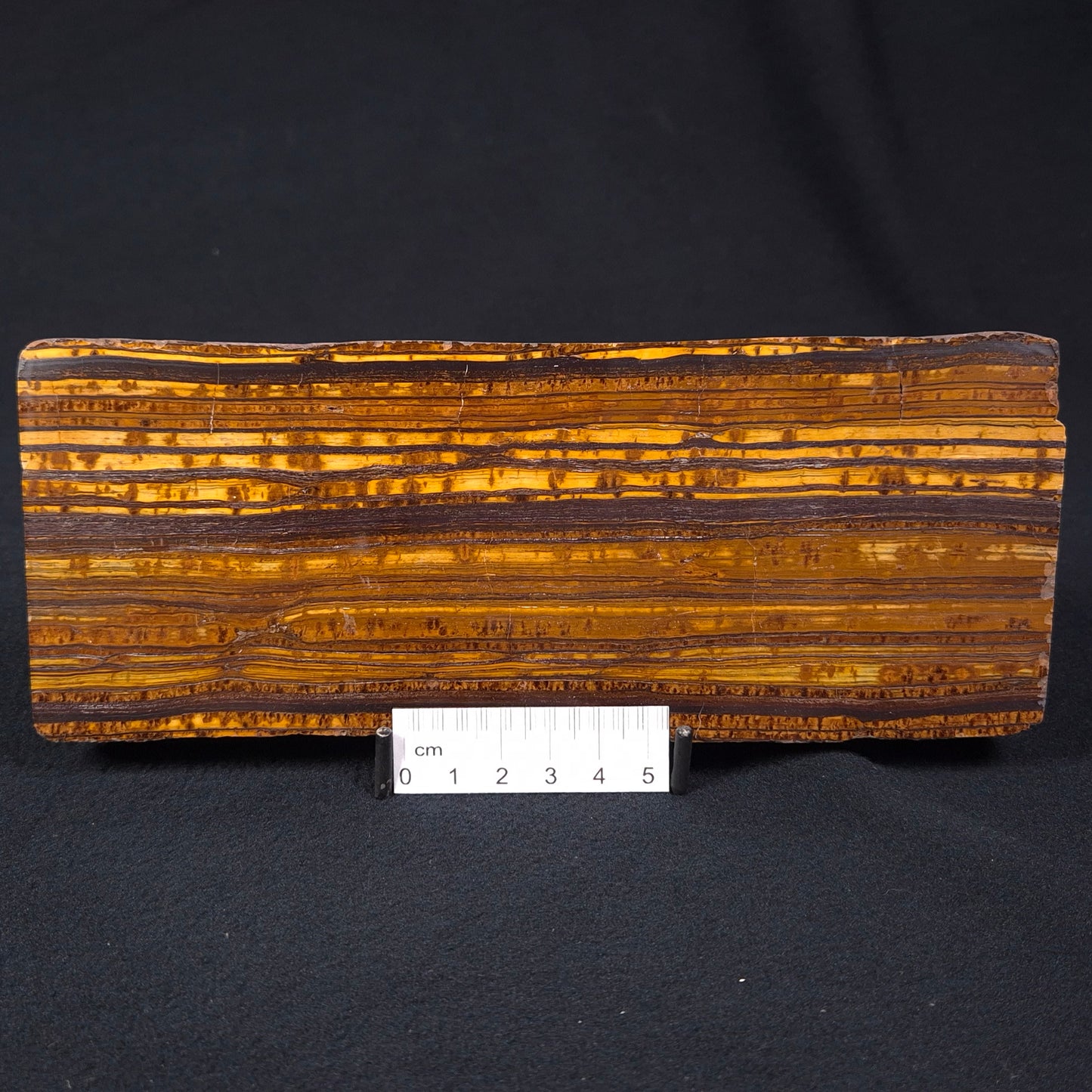 Banded Tiger Iron Polished YSC056