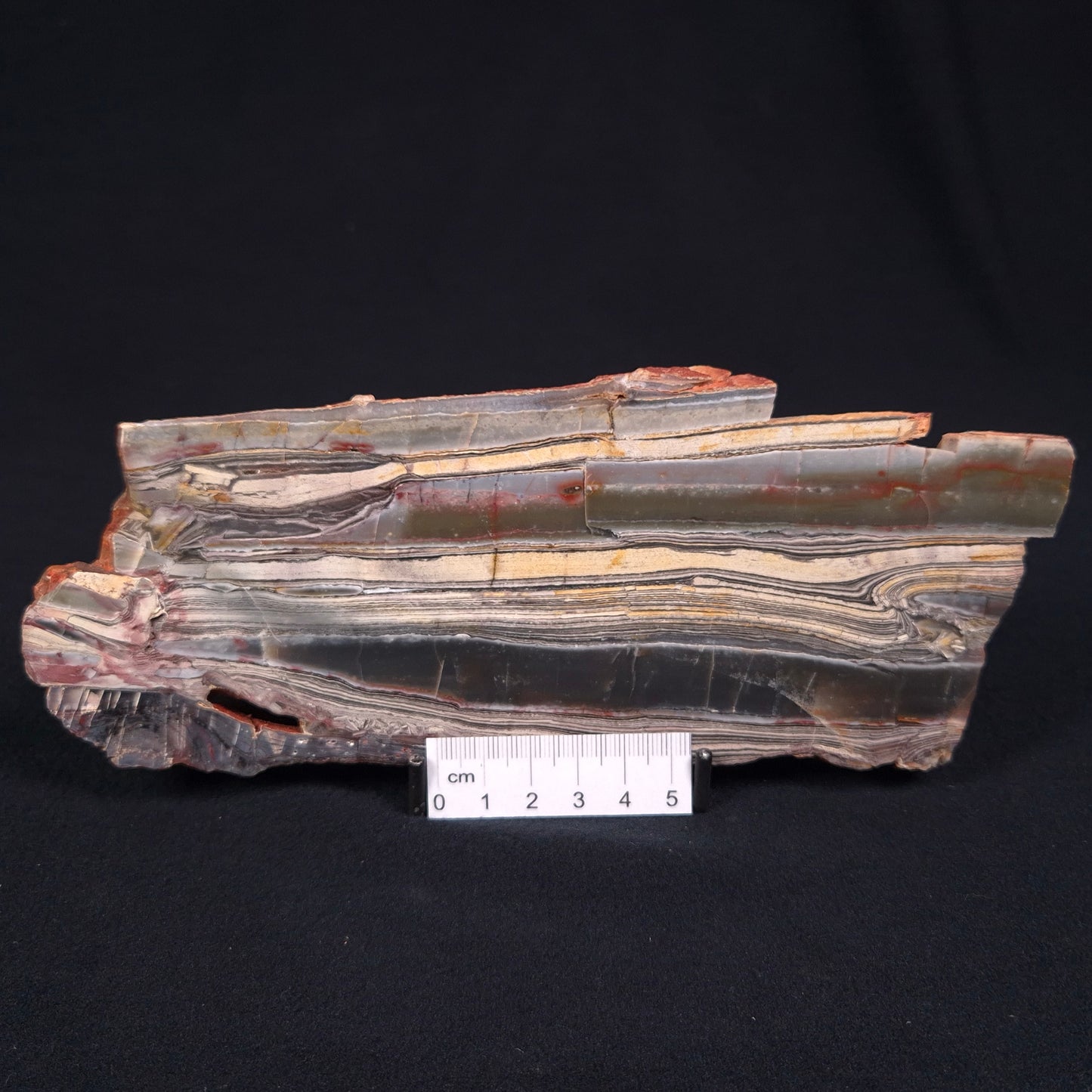 Stromatolite from the Jerrinah Formation ZJF004