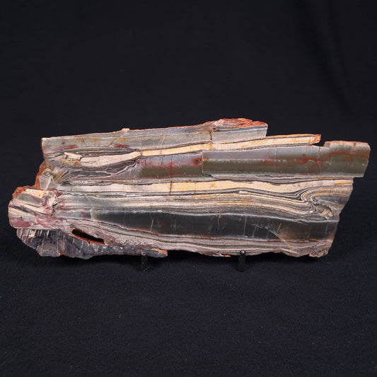 Stromatolite from the Jerrinah Formation ZJF004