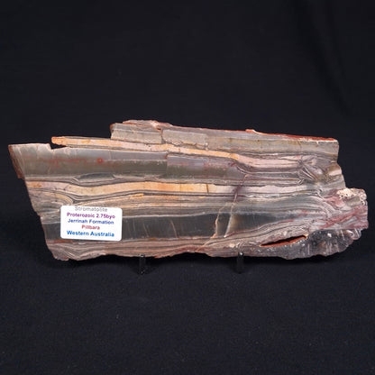 Stromatolite from the Jerrinah Formation ZJF004