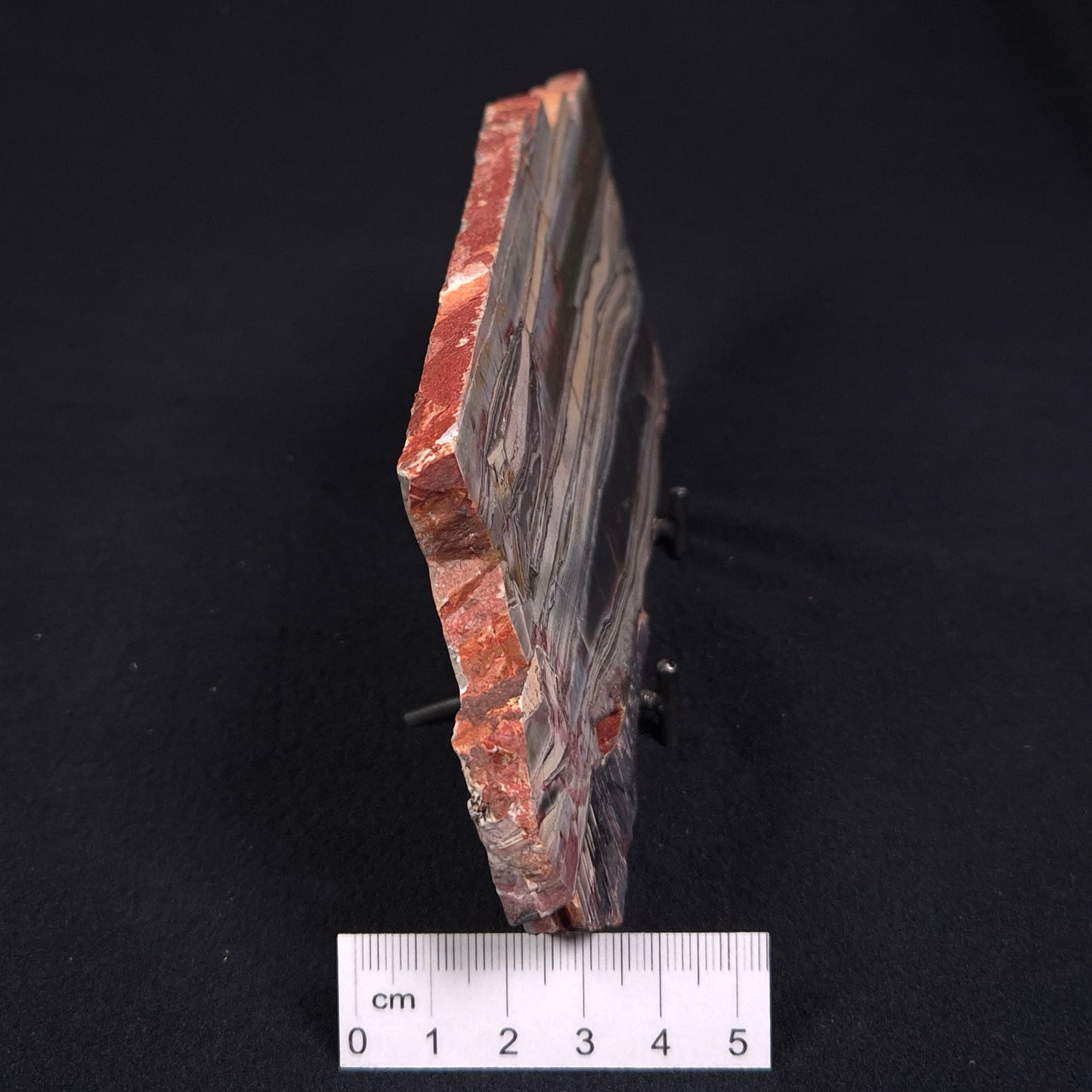 Stromatolite from the Jerrinah Formation ZJF004