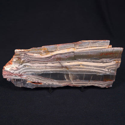 Stromatolite from the Jerrinah Formation ZJF005